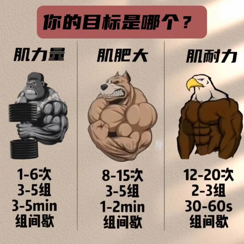 肌肉个人网站,从困惑到成长