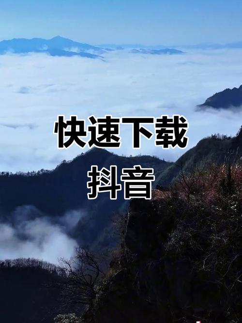 抖音体验代，从观看到下载，轻松享受短视频