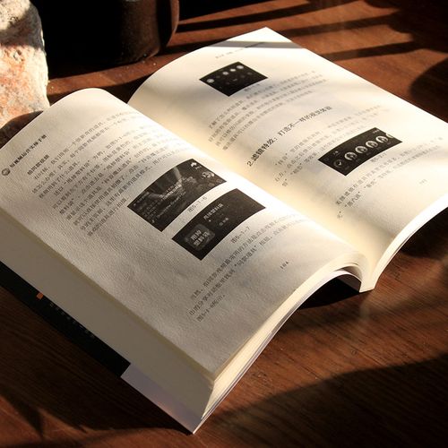 短视频营销的终极指南，快手秒双击1，dy双击业务的实战之道