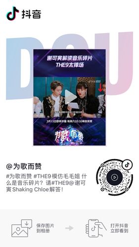 dy赞等级设置与支付指南