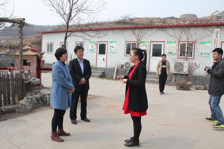 邹城网络推广现状与优化策略