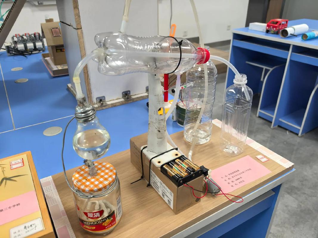 全国中小学电脑制作活动—科技点亮未来，创新激发潜能