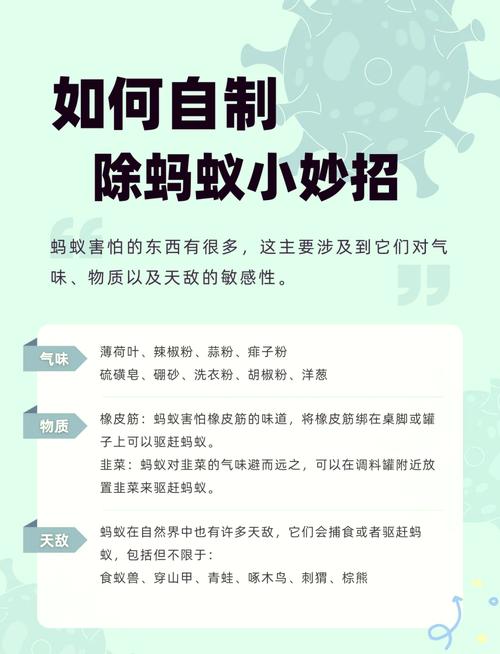 如何用抖音秒刷蚂蚁