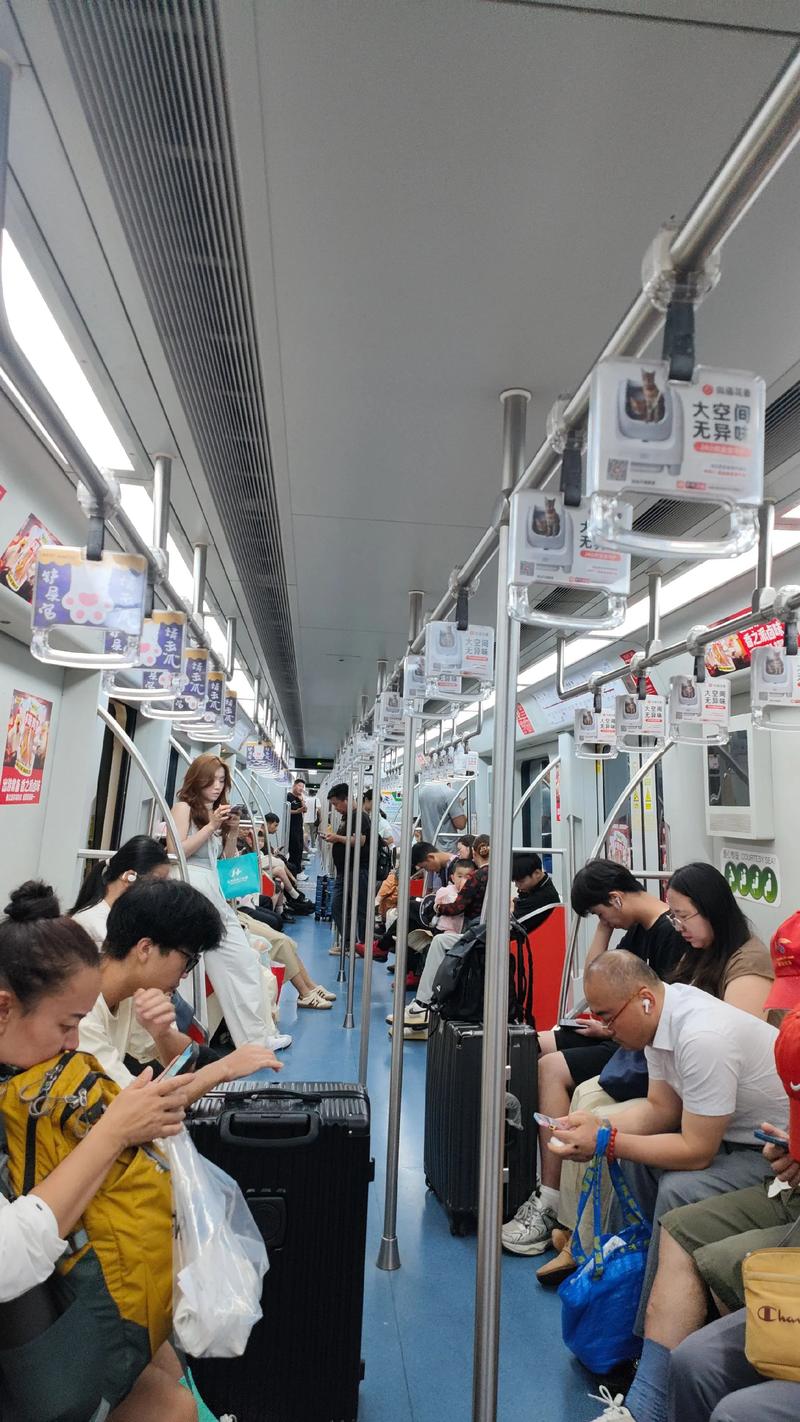 情绪之花，怀柔地铁人与疫情的互动