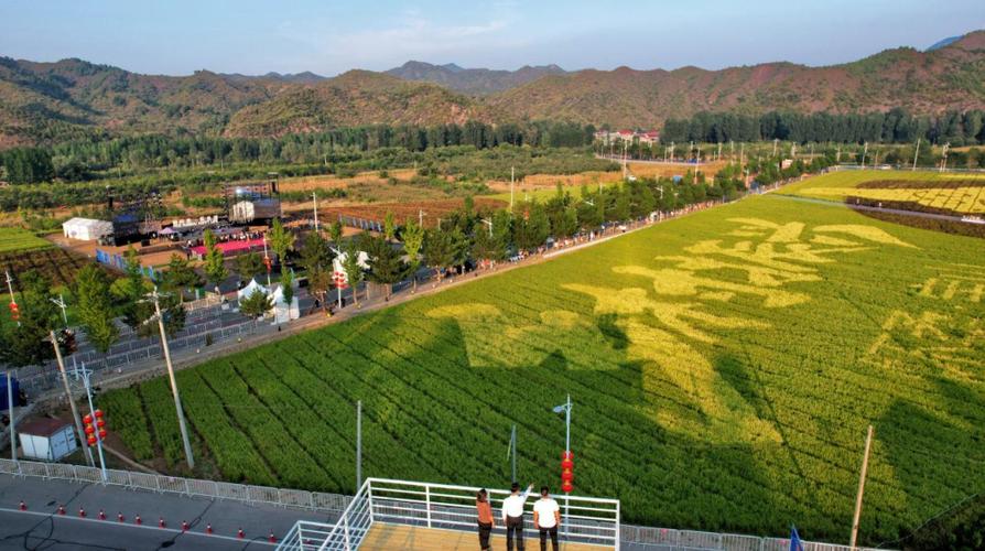 怀柔网络推广的指南与技巧