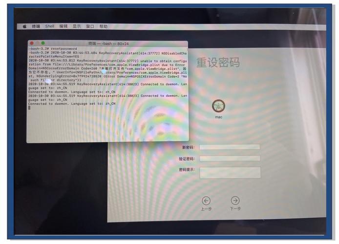 计算机地址栏容易被误输入？别担心，这些小细节也能帮你避免