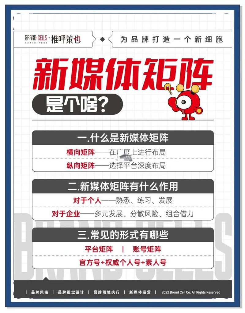 网络优化，重塑自媒体创作新范式