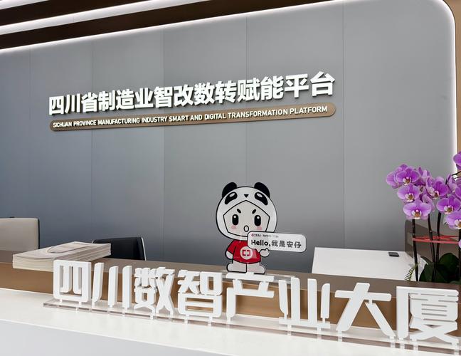 互联网新星，成都网络运营的崛起之路