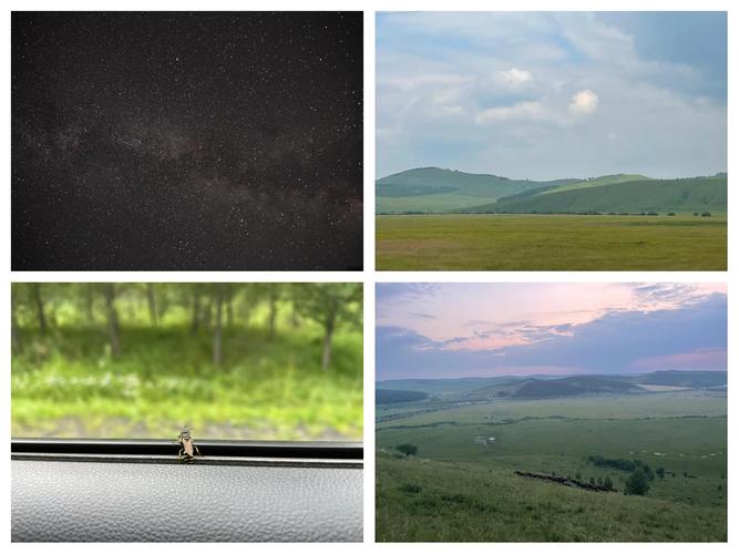 🌟牙可石疫情最新消息🌟