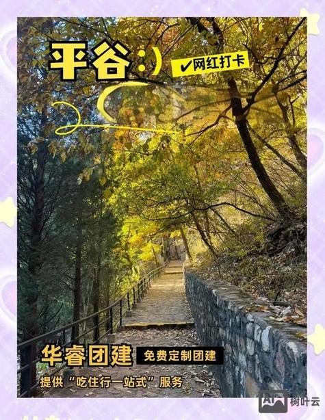 平谷企业网站建设，助力企业发展，提升竞争力