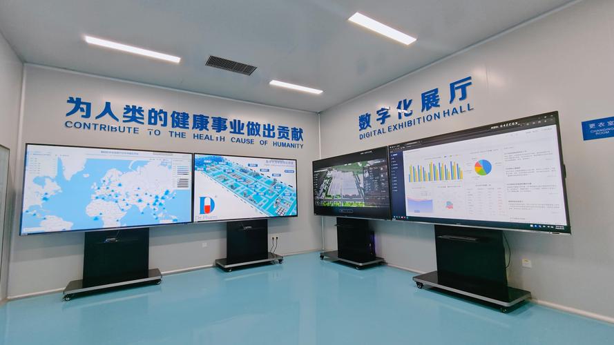 霸州网络公司，赋能 digital的未来