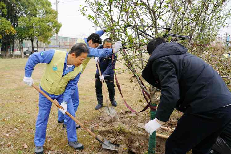 植树节—花桥附近疫情最新消息