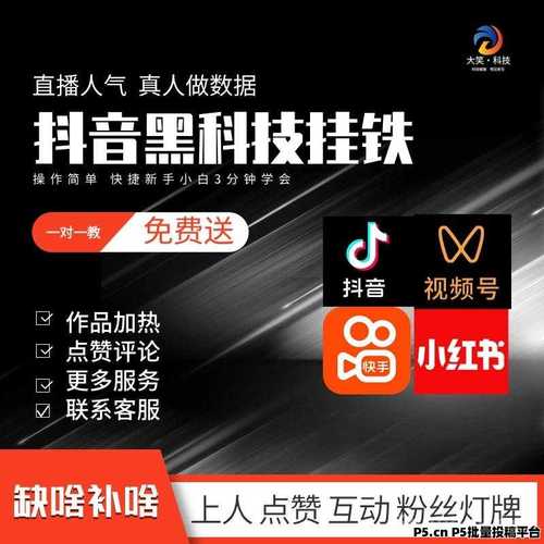 自助涨粉平台与快手秒业务平台，打开用户流量的神秘之门