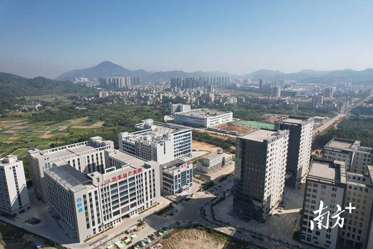 一、惠阳行业的定位与优势