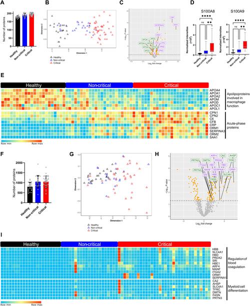 病毒无序，青西市最新数据解析