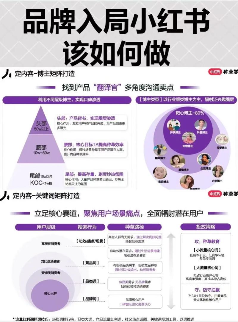小红书和抖音自助业务指南，如何让内容成为你的核心竞争力？