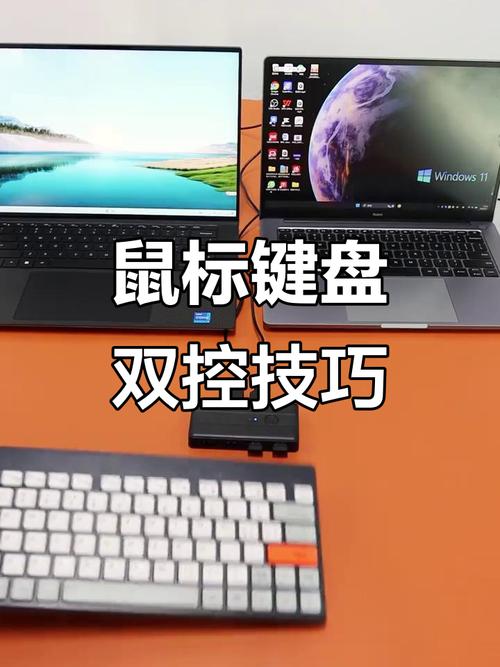唯一的笔记本电脑质量，键盘与鼠标的选择指南