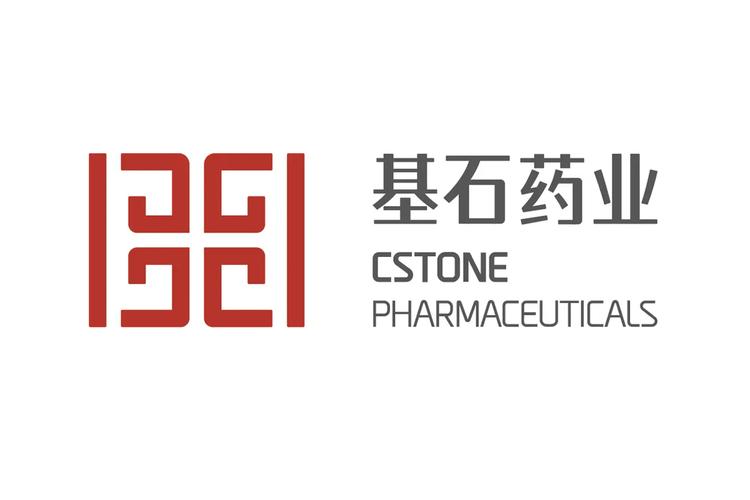西安网络公司 logo，完美品牌形象的基石