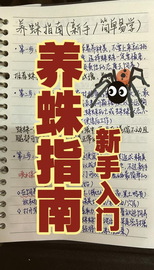 如何识别网络蜘蛛陷阱？保护自己，远离陷阱