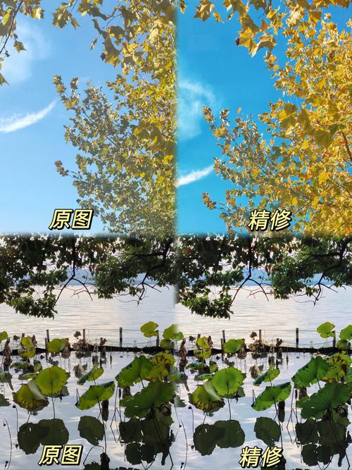 照片后期电脑配置指南，让照片更美，更专业