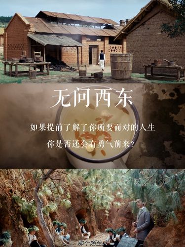 梅子井疫情最新消息，你了解了吗？