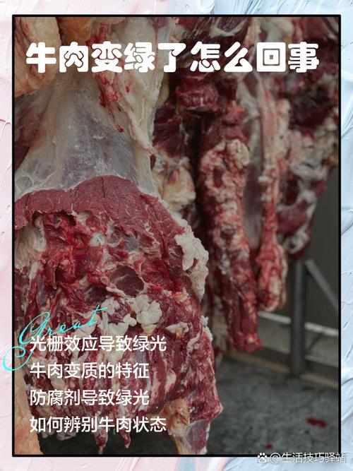 长春牛肉疫情最新消息，从牛肉到生活的转型