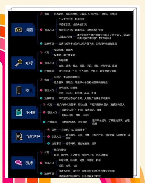 抖音粉丝墨言代网、快手抖音业务代网与ks快手赞网站，助力流量获取指南