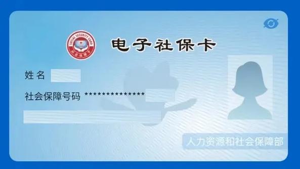 社保电脑号获取步骤解析，从电脑管家官网下载