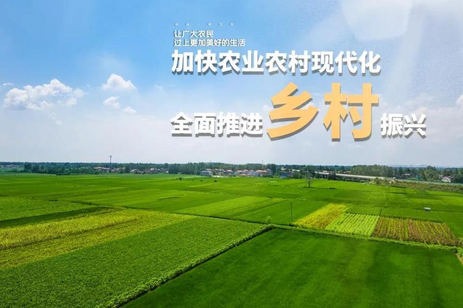 常平网站建设，助力乡村振兴的幸福生活