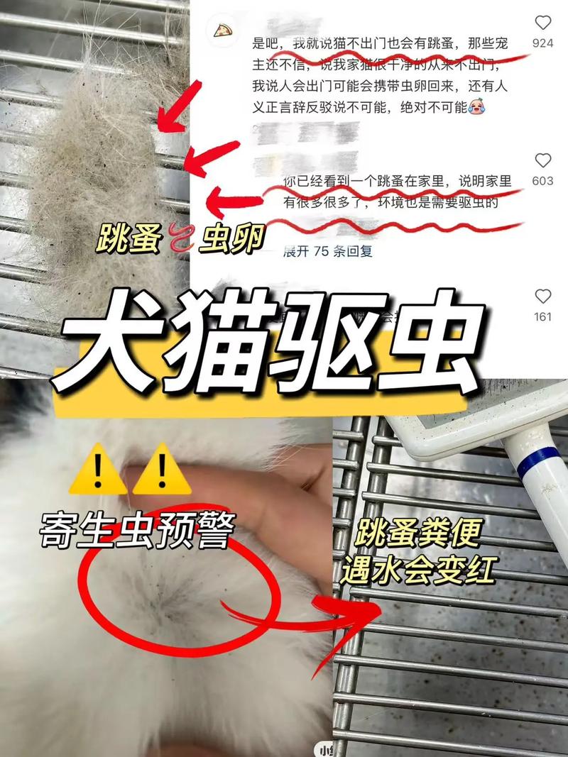 蚤蚓养殖疫情最新消息，从疫情到市场，Everything You Need to Know！