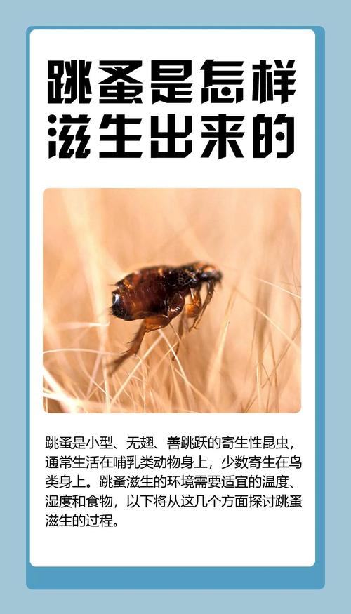 蚤蚓养殖疫情最新消息,从疫情到市场,Everything You Need to Know!