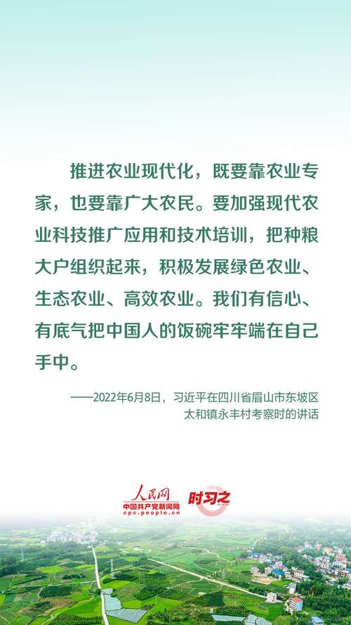 重庆网站建设维护指南,助力您的现代化发展