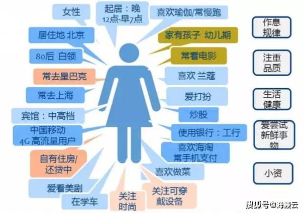 1.市场分析与用户画像
