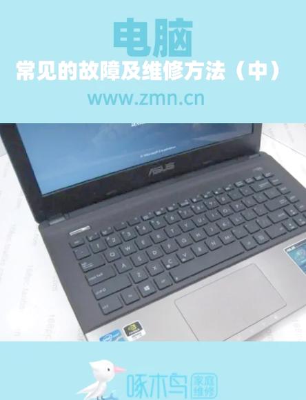 电脑死机与线上网问题排查指南