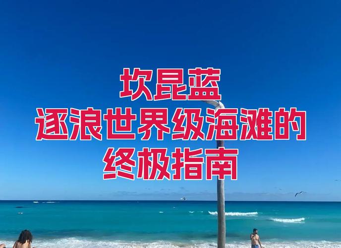 谷当网,营销的终极指南