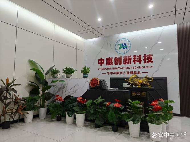为网络需求助力，智创益阳网络公司，技术实力与优质服务并存