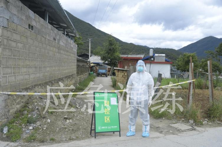 鲁甸疫情最新动态，通知、防控措施和公众反应