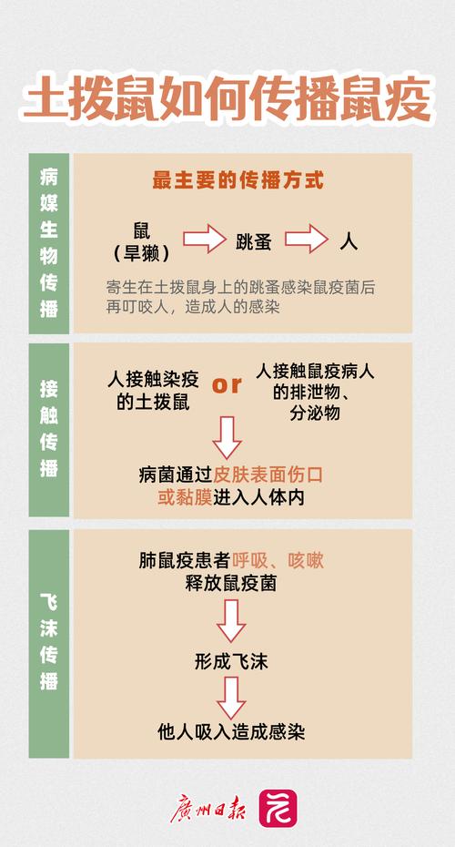 泗县疫情溯源图最新消息，防控措施与防疫知识的传播传播