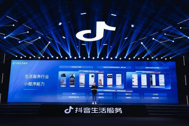 抖音下单自助平台介绍,高效便捷的代刷服务