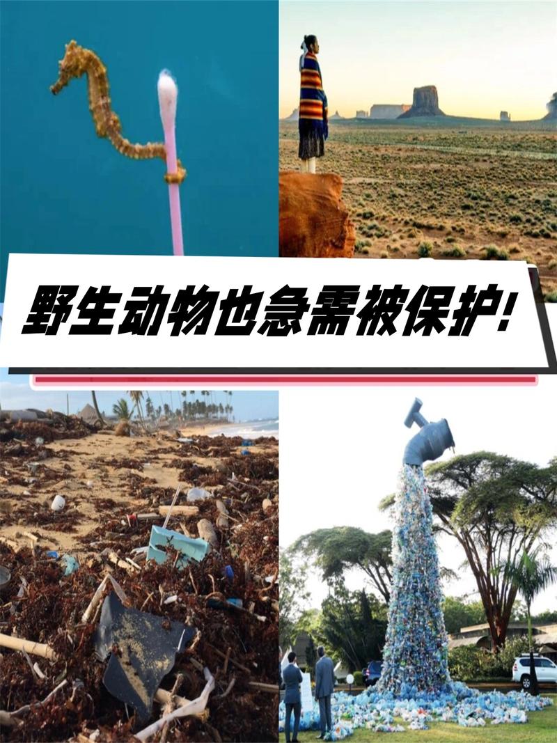 旅顺动物疫情最新消息，你已知的可能被忽视的危机？