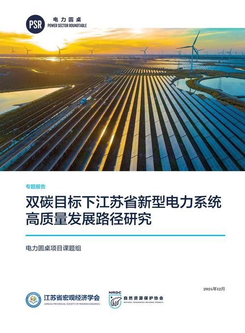 资阳网络优化，机遇与挑战
