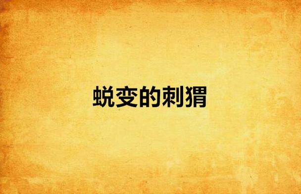 刺猬网络公司，让技术更简单