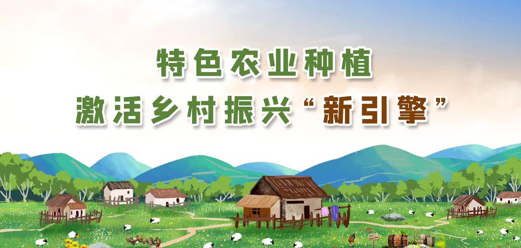 兴国网站建设，助力乡村振兴，打开乡村振兴新局面