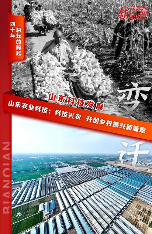 南京科技，疫情时代的创新与变革