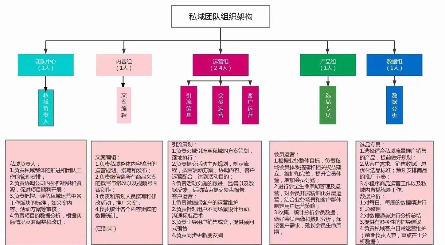 网络公司团队介绍