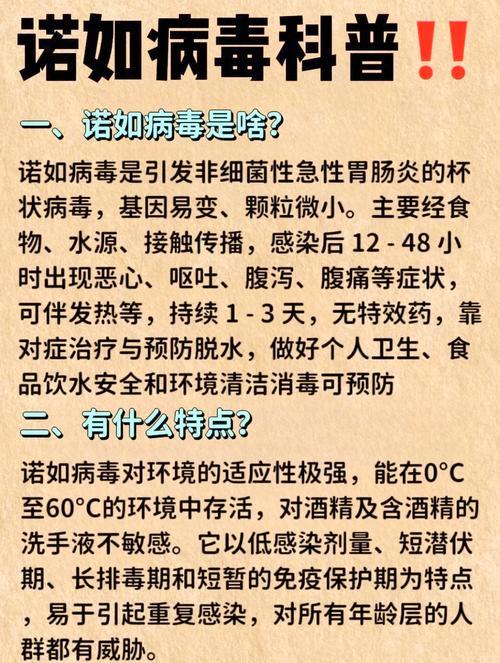 东莞大宁疫情最新消息，防控指南与健康建议