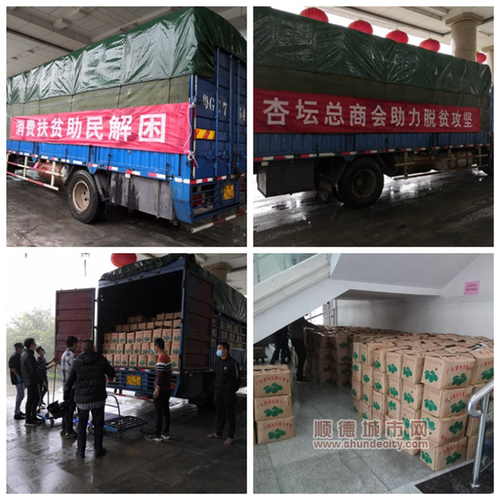 近期,杏坛市场疫情形势如何?最新消息来了!