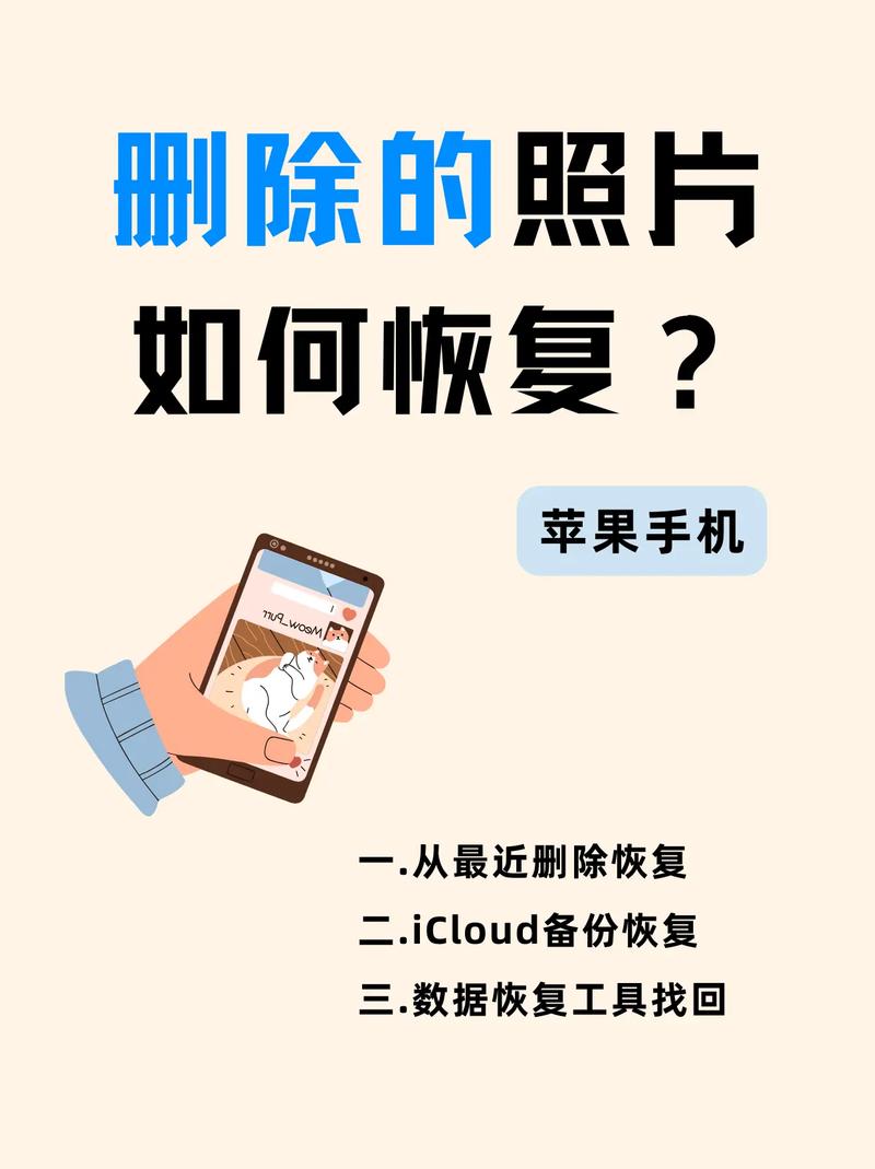 如何高效处理照片，从头到尾的步骤指南