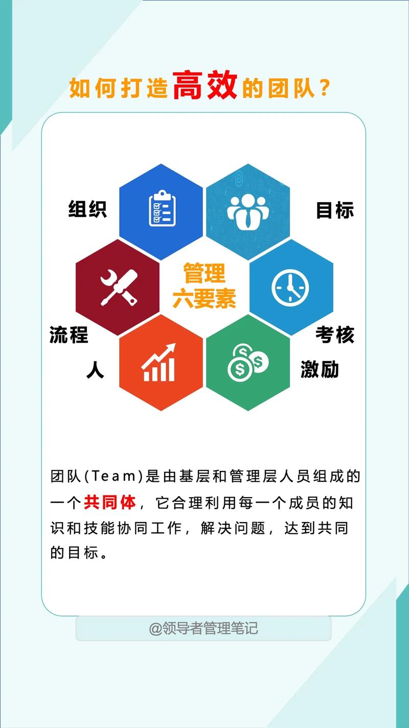 如何组建一支高效、专业的网络推广团队？这不仅是团队成员的职责，更是整个团队的运作基础。以下将从团队结构、职责分配、沟通协作等方面，为读者提供详细的指南和实用建议