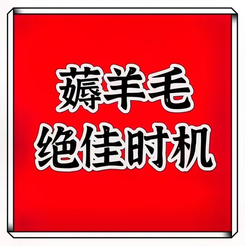 唯一 Http:www.dy.com/最低价啊免费的平台,错过就亏了!